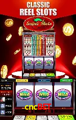 Casino Ao Vivo cncbet