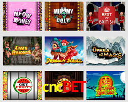 Premium Interface cncbet
